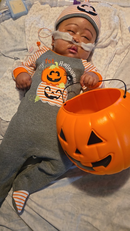 Entry image for Kashton starks. Clicking this image will show a larger photo