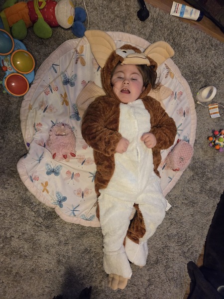 Entry image for Asteria. Clicking this image will show a larger photo