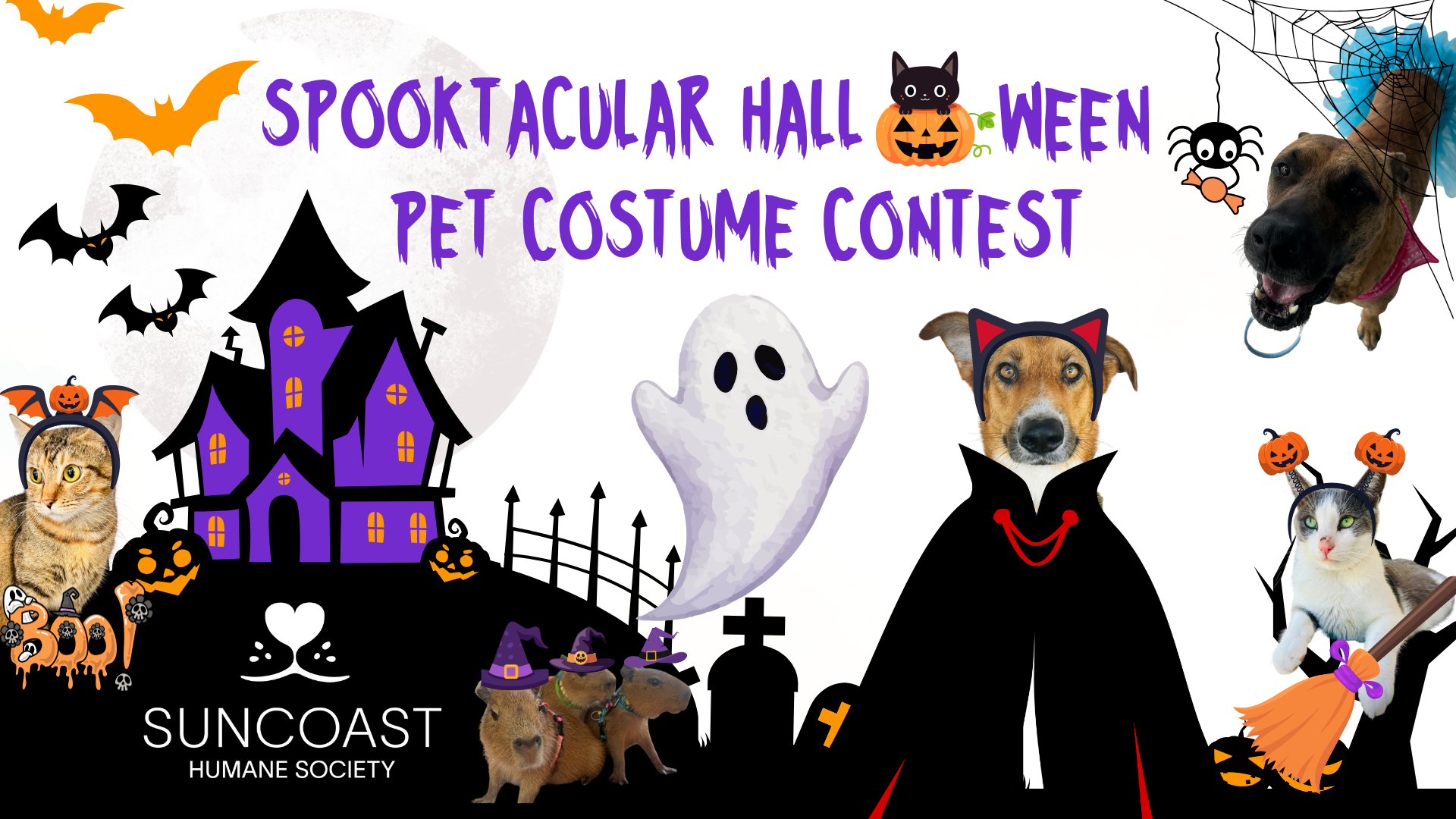 Banner for SPOOKTACULAR HALLOWEEN PET COSTUME CONTEST