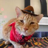 Entry image for Squints