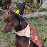 Entry image for OAKLEY