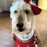 Entry image for Sadie The Cheerleader! 