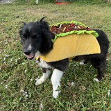 Entry image for Beau