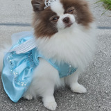 Entry image for Kiara