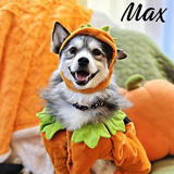Entry image for Max