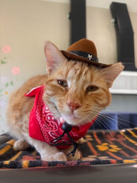 Entry image for Squints. Clicking this image will show a larger photo