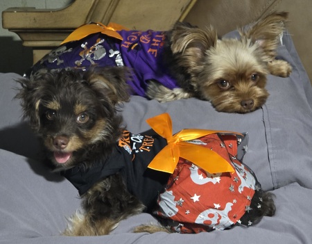 Entry image for Maddie with daughter Emme. Clicking this image will show a larger photo