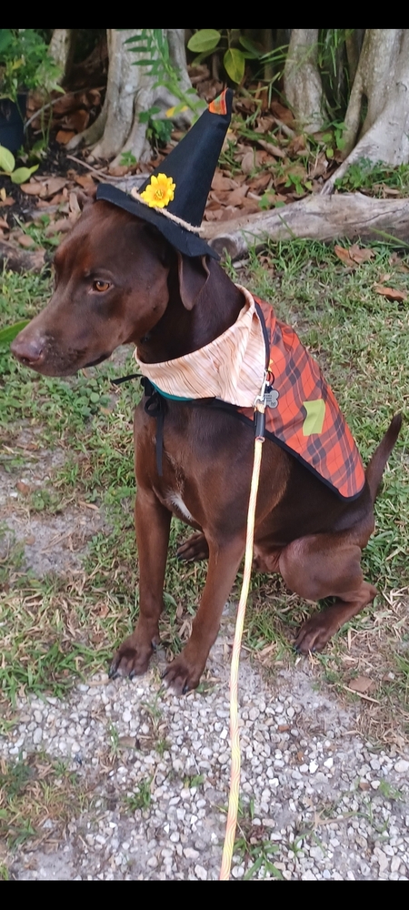 Entry image for OAKLEY. Clicking this image will show a larger photo