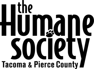 Logo for Pet Mayor For A Day