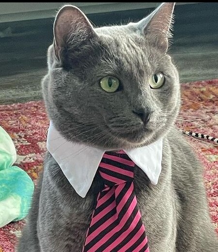 Entry image for Franklin (Foggy) Nelson. Clicking this image will show a larger photo