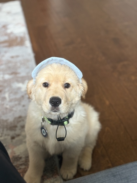 Entry image for Winnie. Clicking this image will show a larger photo