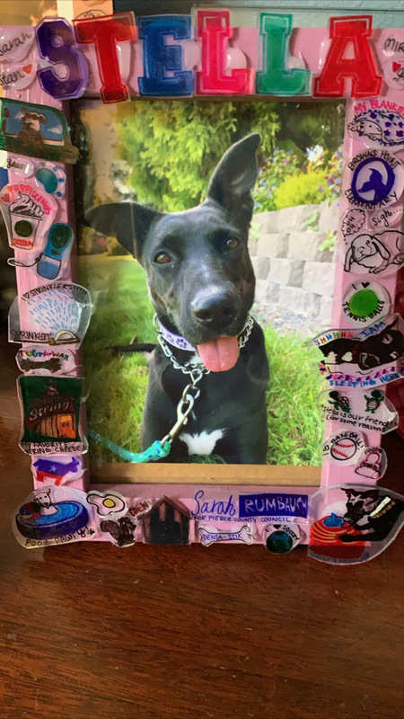 Entry image for Stella. Clicking this image will show a larger photo