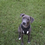 Entry image for Kevin