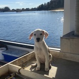 Entry image for Olivia 