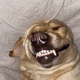 Entry image for Oakley 