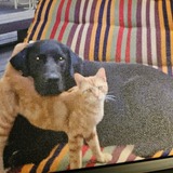 Entry image for Gumbeaux and Rupret