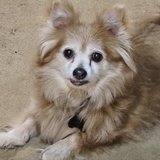 Entry image for Worm