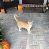 Entry image for Sunny Jean