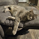 Entry image for Luna