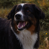 Entry image for Cash