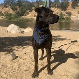 Entry image for Chevy