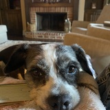 Entry image for Maggie 