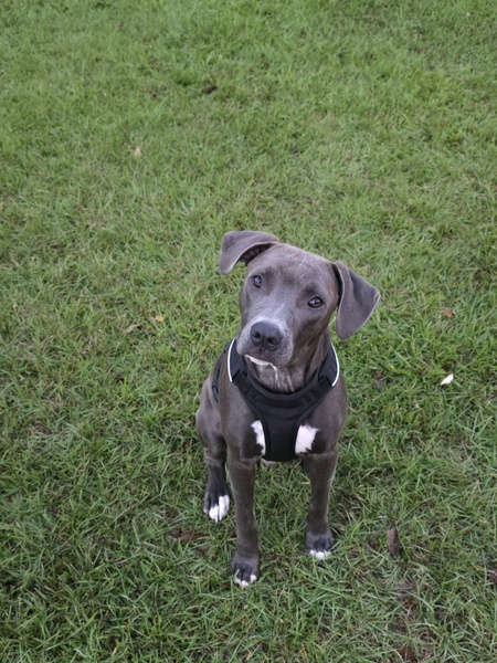 Entry image for Kevin. Clicking this image will show a larger photo