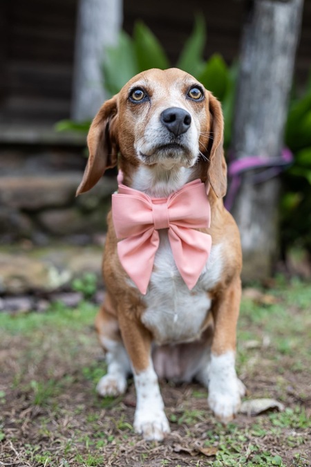 Entry image for Nora. Clicking this image will show a larger photo