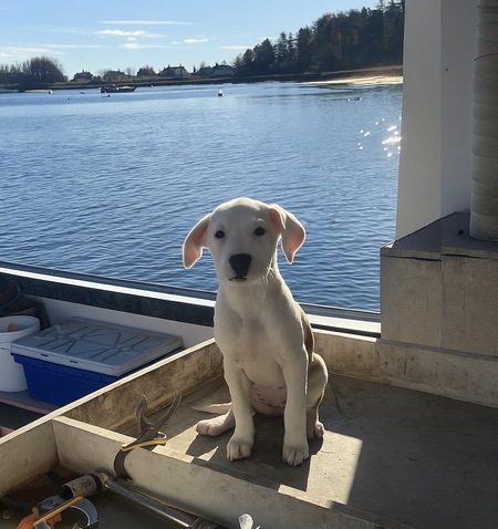 Entry image for Olivia . Clicking this image will show a larger photo