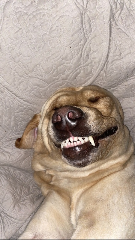 Entry image for Oakley . Clicking this image will show a larger photo