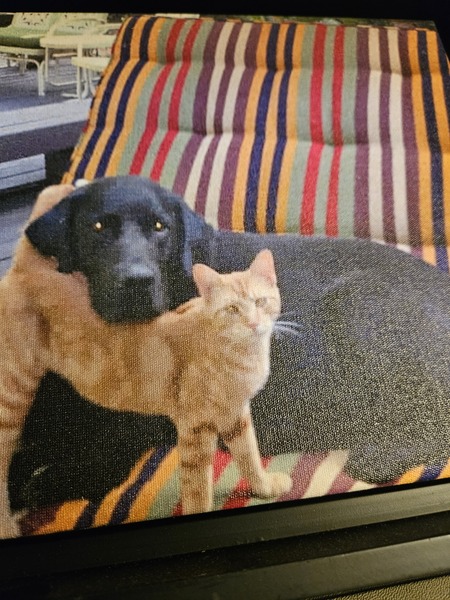 Entry image for Gumbeaux and Rupret. Clicking this image will show a larger photo