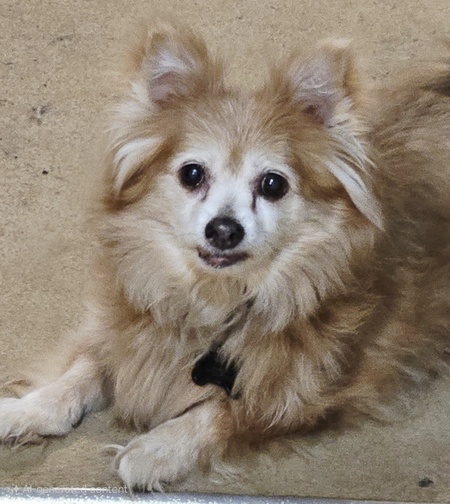 Entry image for Worm. Clicking this image will show a larger photo