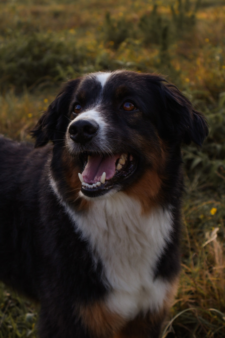 Entry image for Cash. Clicking this image will show a larger photo