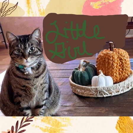 Entry image for Little Girl. Clicking this image will show a larger photo