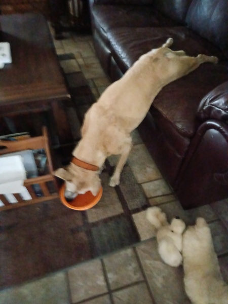 Entry image for Bonny . Clicking this image will show a larger photo