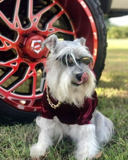 Entry image for MAX. Clicking this image will show a larger photo