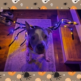 Entry image for Blue