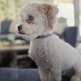 Entry image for Walter