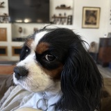 Entry image for Darby