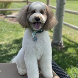 Entry image for Archibald “Archie” Barisol Davis