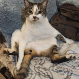 Entry image for Thomas "Yummy Boy" 