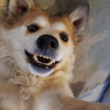 Entry image for Sandy D