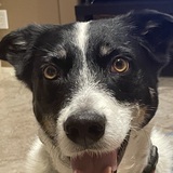 Entry image for Ramsey