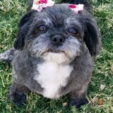 Entry image for Margot