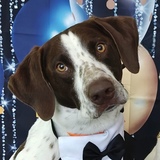 Entry image for Ranger