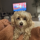 Entry image for Millie 