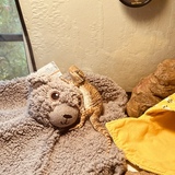 Entry image for Vinny