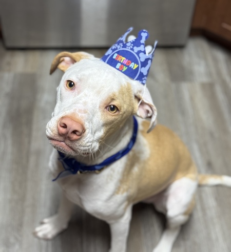 Entry image for Bones. Clicking this image will show a larger photo