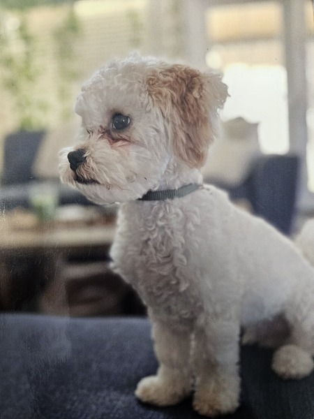 Entry image for Walter. Clicking this image will show a larger photo