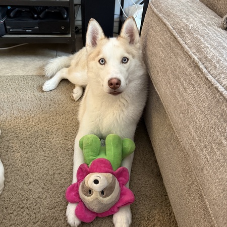 Entry image for Denver. Clicking this image will show a larger photo